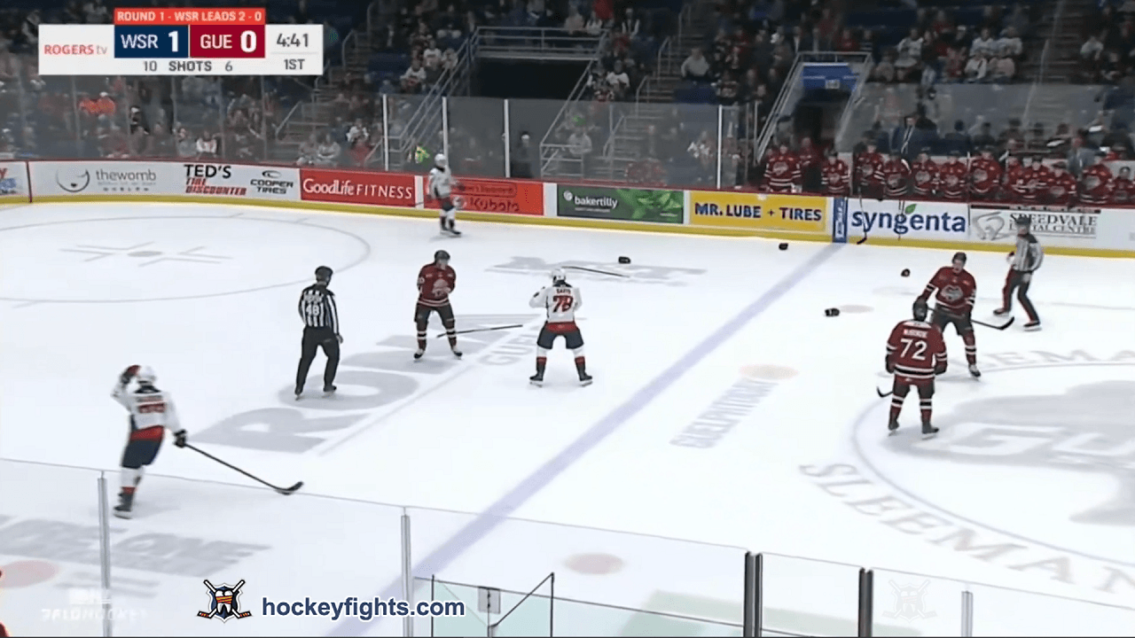 C. Davis (WSR) vs. L. Serlin (GUE)