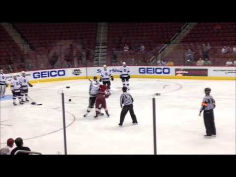 V. Arseneau (LAK) vs. Y. Pavel,Laplante (ARI)