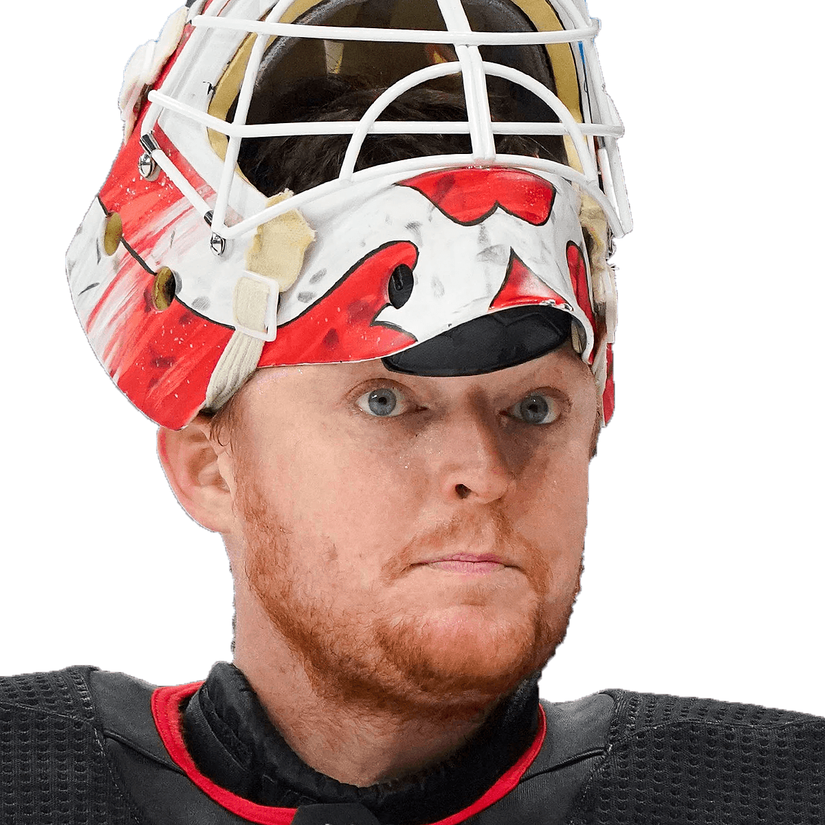 Cory Schneider