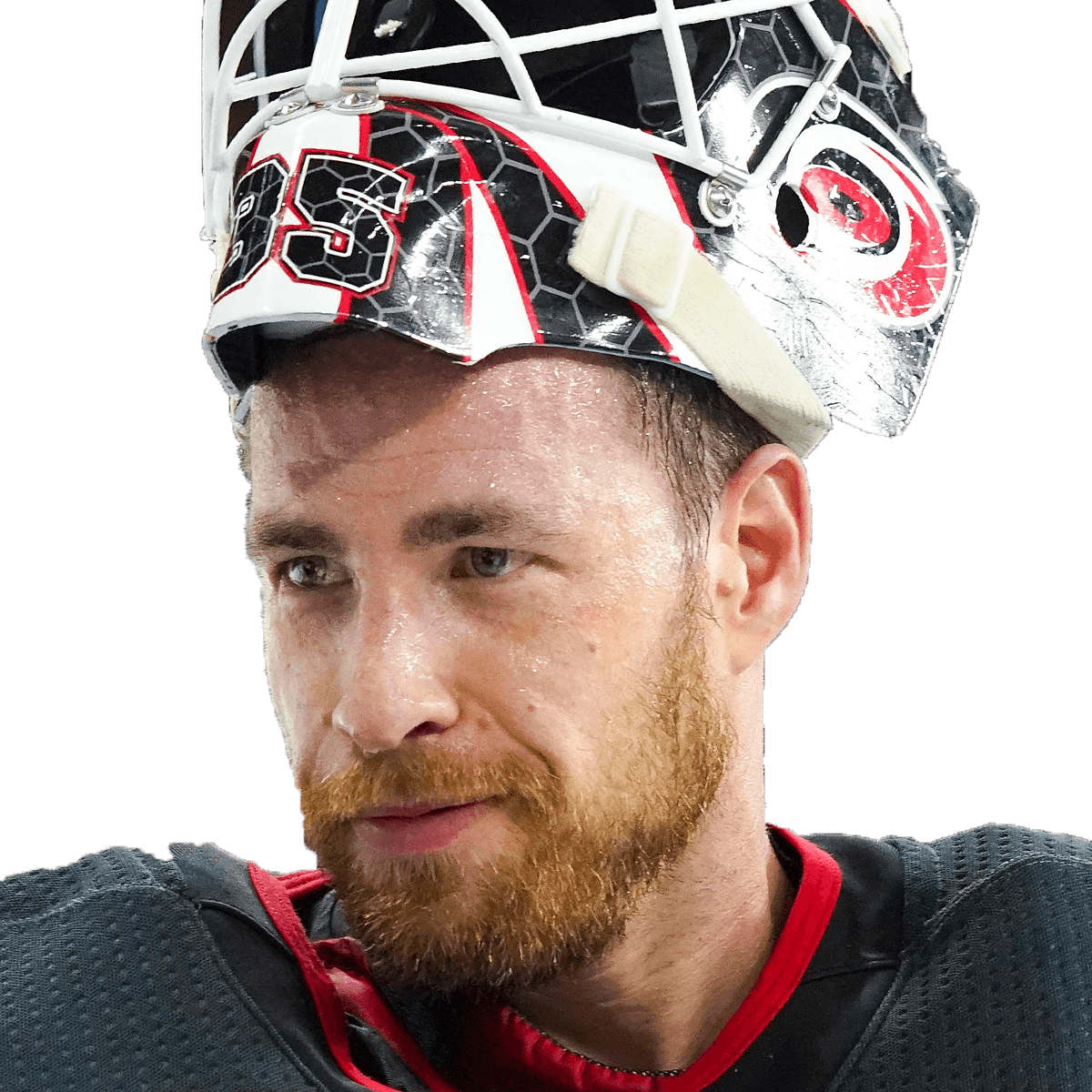 Curtis McElhinney