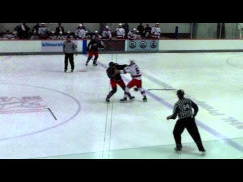 P. Leroux (NYR) vs. T. Larkin (CBJ)