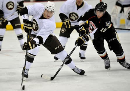AHL Kicks Off 2012-13 Season