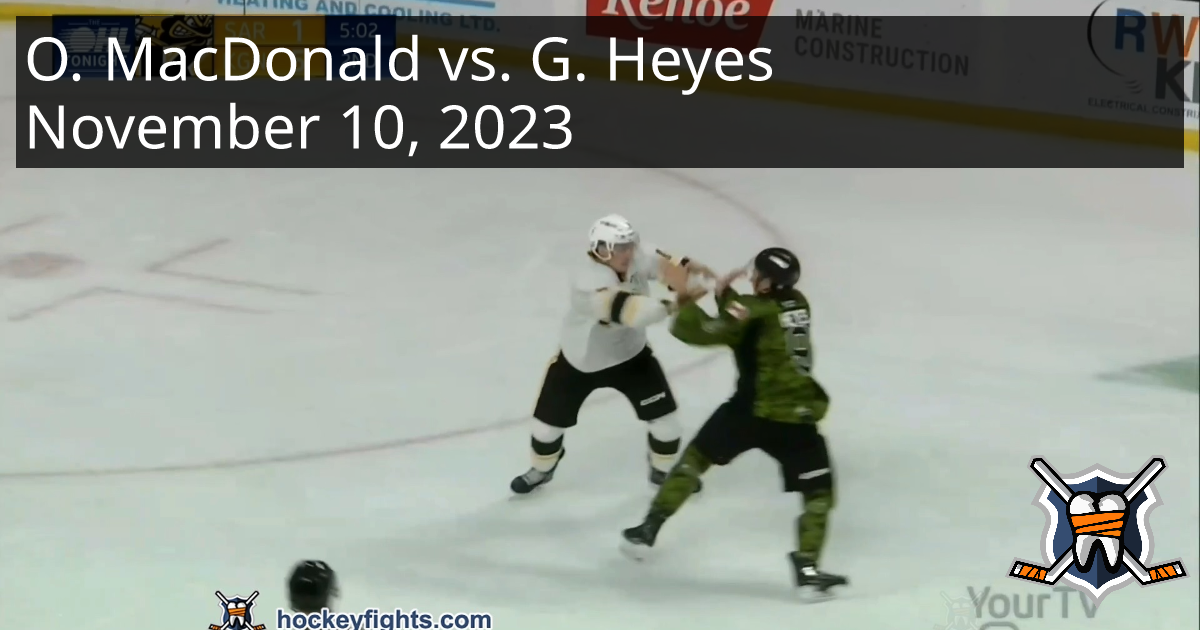 Owen MacDonald vs. Gage Heyes, November 10, 2023 Sarnia Sting vs. Kingston Frontenacs