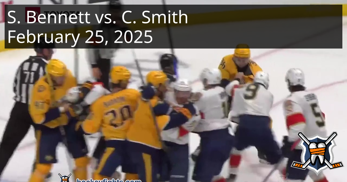 www.hockeyfights.com